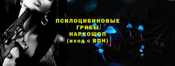 крисы Козловка