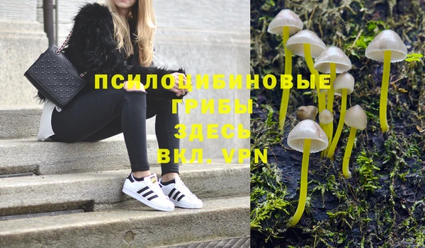 таблы Алексеевка