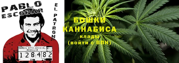дмт Абаза